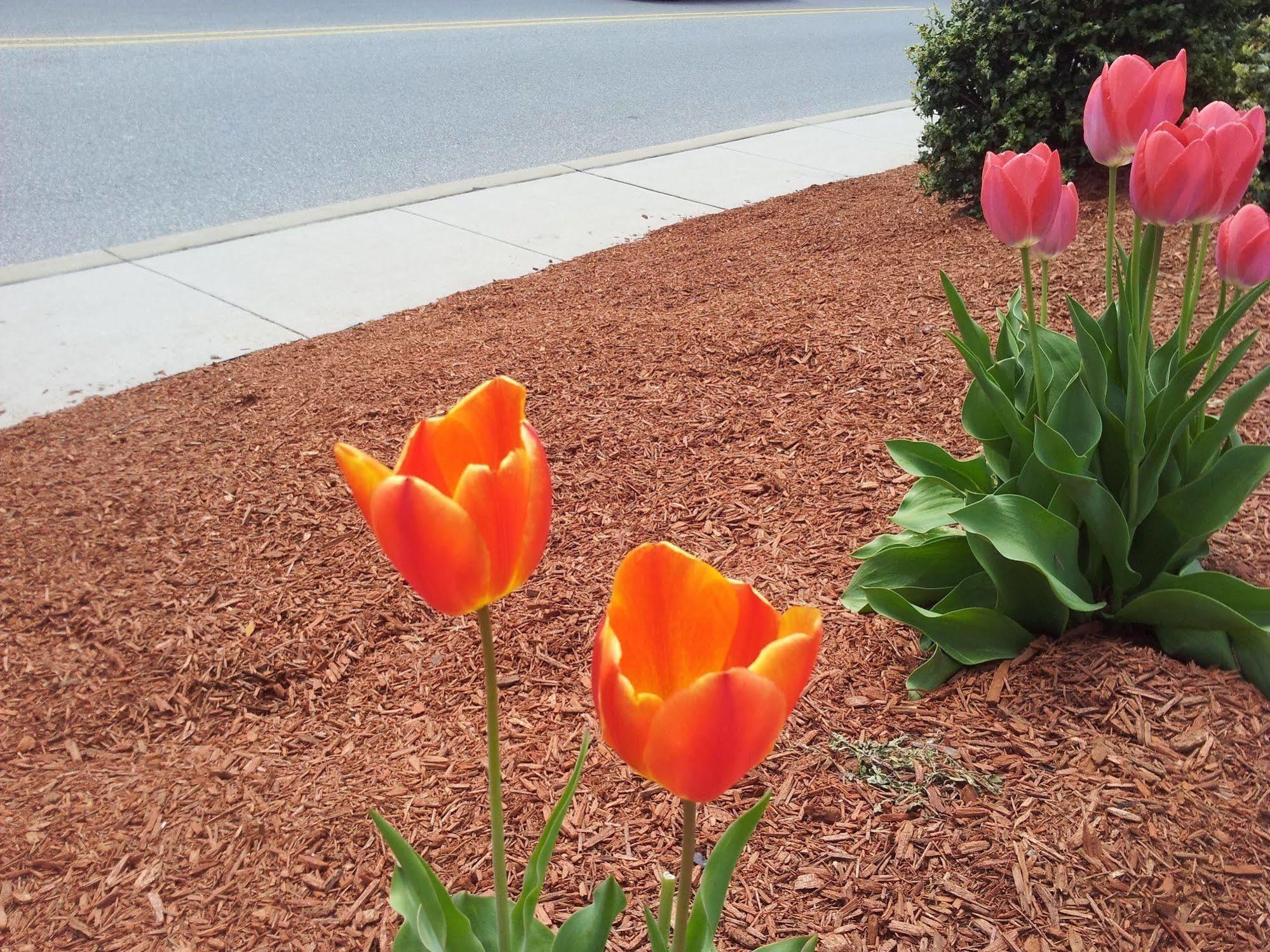 President Inn & Suites Gettysburg Esterno foto